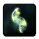 微生物的起源游戏安卓版安装下载 v40.48