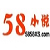 58小说网