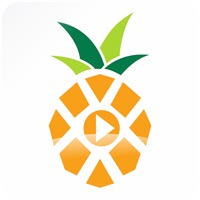 菠萝音乐安卓版app下载-菠萝音乐最新版免费下载