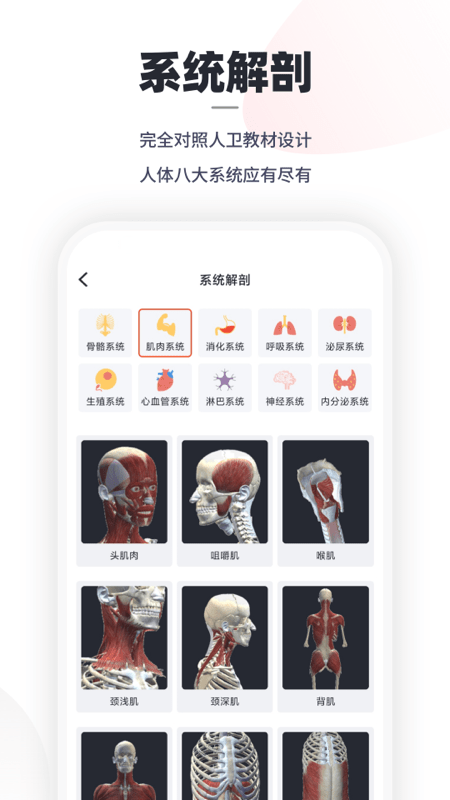 口袋解剖永久免费版下载-口袋解剖下载app安装