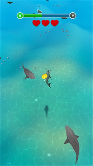 美味深海永久免费版下载-美味深海下载app安装