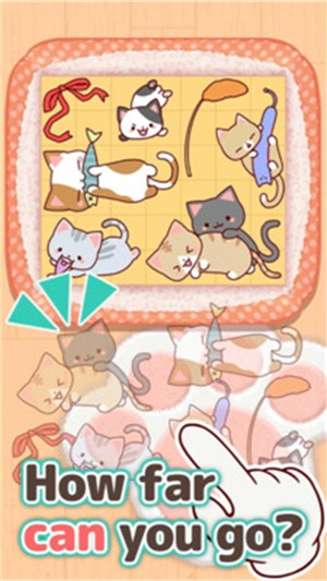 猫咪方块最新版手机app下载-猫咪方块无广告破解版下载