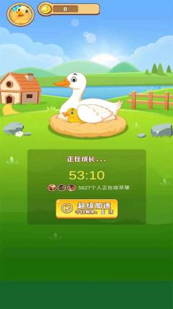 欢乐养鸭免费中文下载-欢乐养鸭手游免费下载