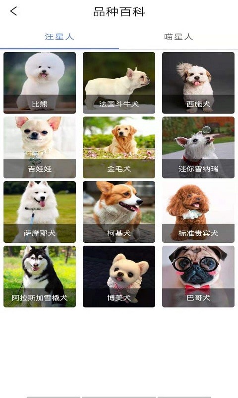 宠物知识全书最新版手机app下载-宠物知识全书无广告版下载