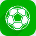 足球世界软件安卓免费版下载-足球世界安卓高级版下载